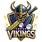 team-flag-icon-VEV