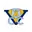 Valley cricket logo
