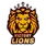 team-flag-icon-VLS