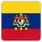 team-flag-icon-WIP