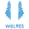 team-flag-icon-WLV