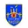 Biratnagar panthers cricket logo