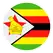 team-flag-icon-ZIM