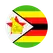team-flag-icon-ZM-W