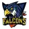team-flag-icon-UJF