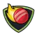 team-flag-icon-HYD