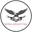 Venezia cricket logo