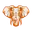 Matabeleland tuskers cricket logo