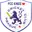 Prague cc kings cricket logo