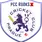 team-flag-icon-PCR