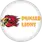 team-flag-icon-PNL