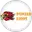 Punjab lions nicosia cricket logo