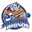 Pokhara rhinos cricket logo