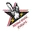 Dubai aviators cricket logo
