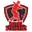 Royal strikers cricket logo