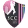 team-flag-icon-SSD