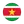 Suriname team logo