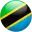 Tanzania under-19 cricket logo