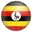 Namibia cricket logo
