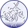 team-flag-icon-VCC
