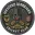 Western warriors-w cricket logo