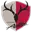 Kashima antlers football logo