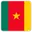 Cameroon football logo