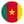 Cameroon team logo