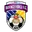 Defense force football logo