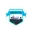 Delhi fc football logo