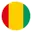 Guinea football logo