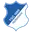 Tsg hoffenheim football logo