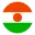 Niger football logo