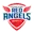 Hundai steel red angels women's fc football logo