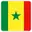 Senegal football logo