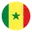 Senegal football logo