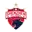 Shenzhen peng city football logo