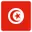 Tunisia football logo