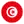 Tunisia team logo