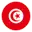 Tunisia football logo