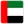 United Arab Emirates U23 team logo