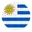 Uruguay football logo