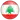 Lebanon football logo