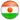 Niger football logo