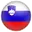 Slovenia football logo