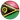 Vanuatu football logo