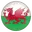 Wales football logo