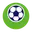 Vfl wolfsburg ladies football logo