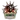 Azurite avengers vs titanite twisters live events logo