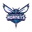 Charlotte hornets basketball logo